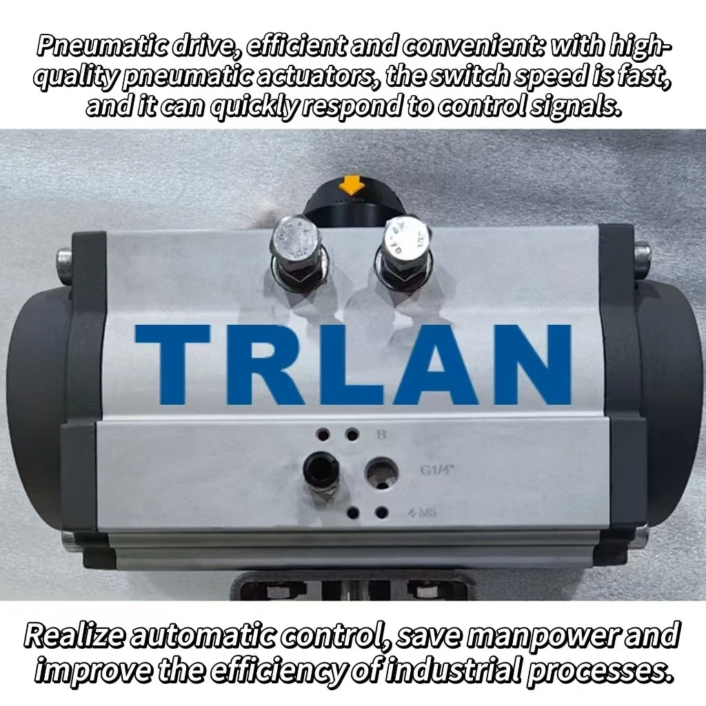 Pheumatic actuator Pheumatic actuator